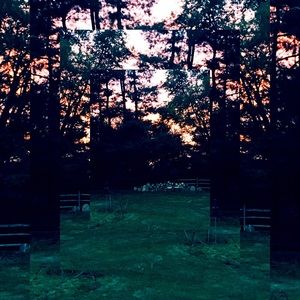 Meet your Posher, Janice